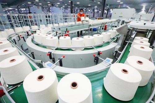 棉紡企業(yè)產(chǎn)銷兩旺，針織品行業(yè)迎來新局